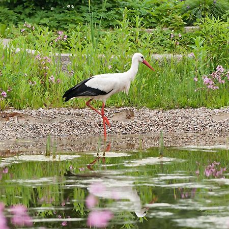 Apartmán Bsw Ferienwohungen Wyk auf Föhr Exteriér fotografie